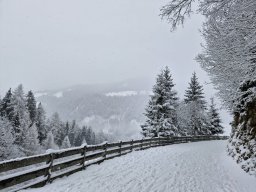 2026 Familienfreizeit Speikboden